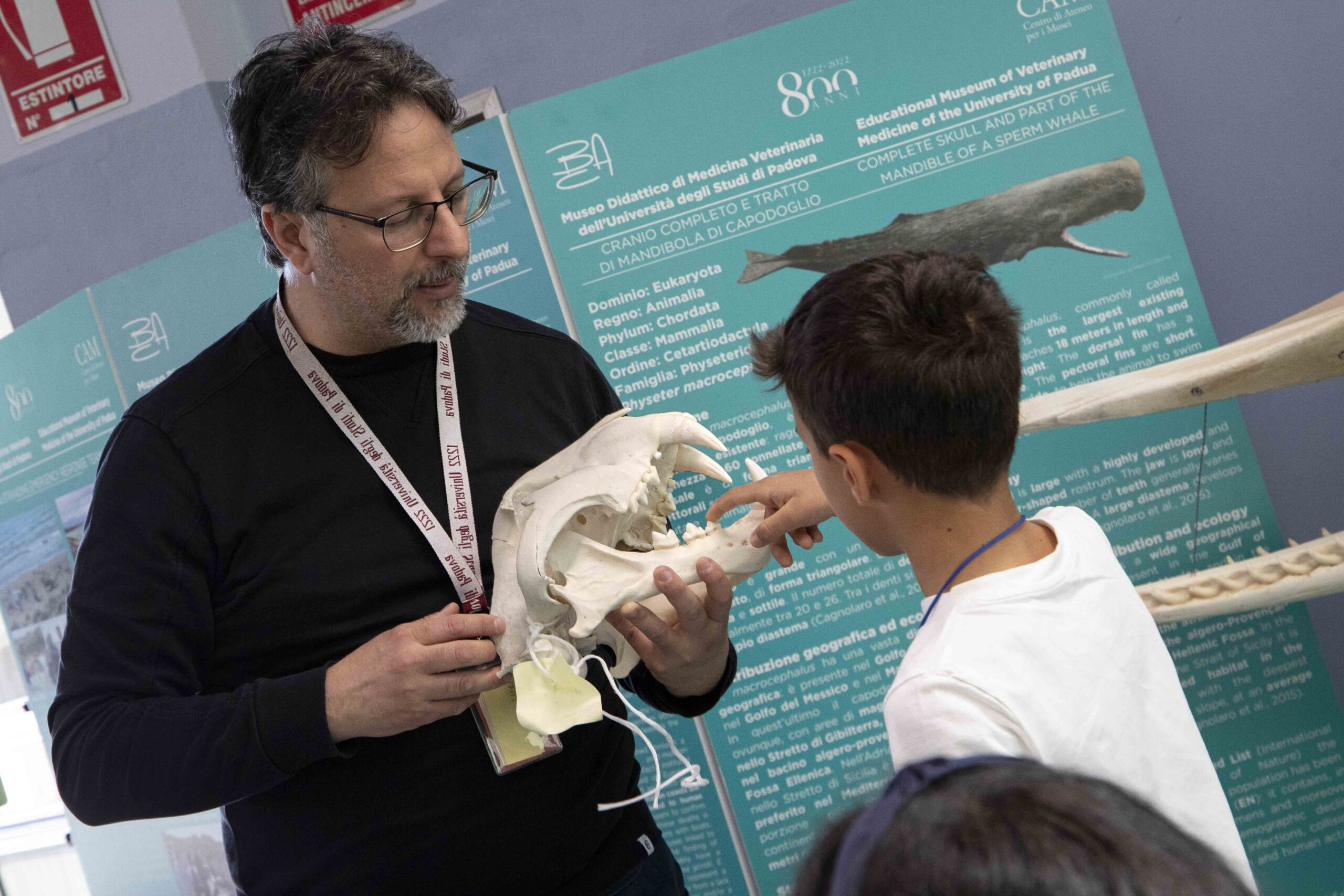 All'inerno del Museo di medicina veterinaria un docente universitario mostra e fa toccare a un ragazzo il teschio di un cranio di un animale.